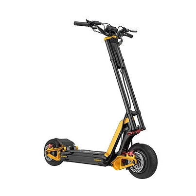 InMotion RS DUAL 2000W