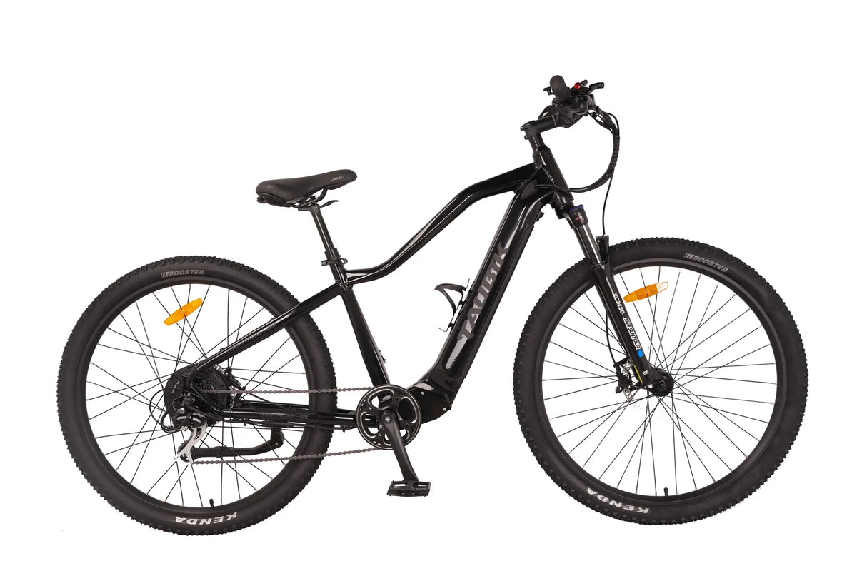 Electric bikes