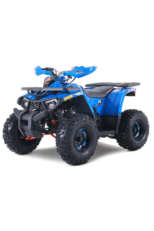 GIO Denago Mudhawk10 FI 120cc Gas Quad (PDI/Freight Extra)