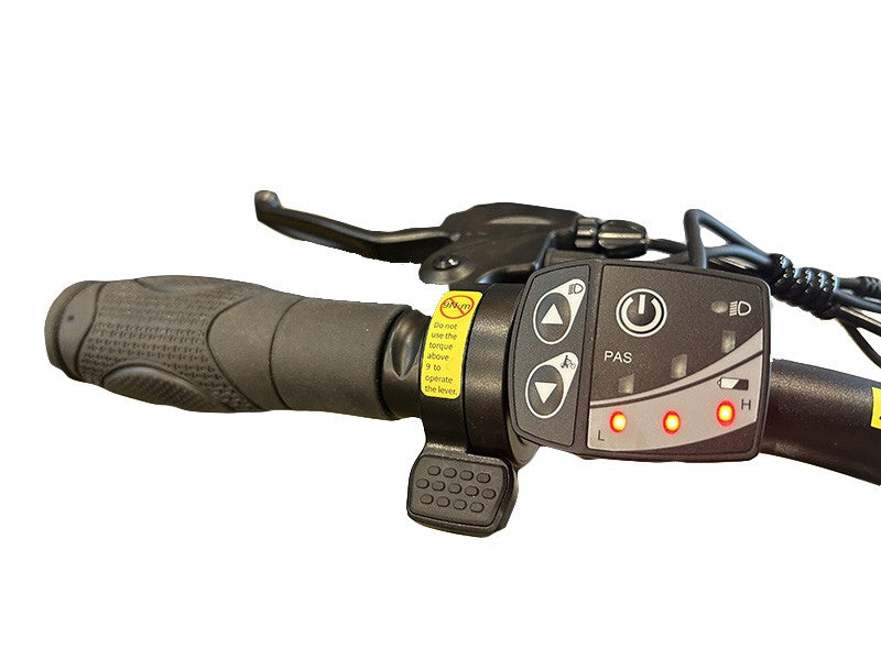 GOTRAX E03 Electric Mountain Bike (350W Motor)