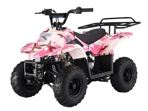 GIO BLAZER 110B 110cc PINK LEAF