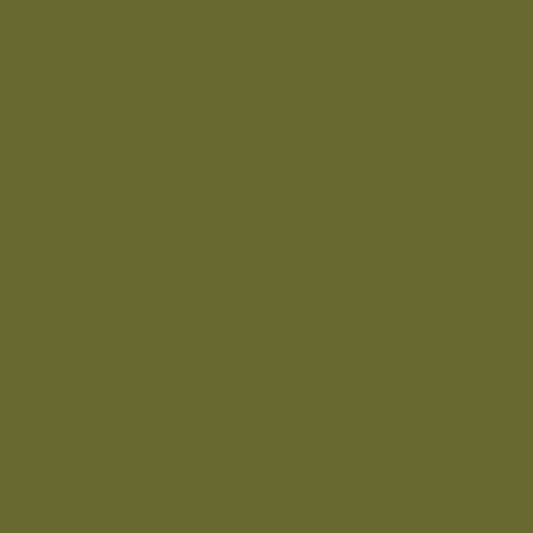 Mission Models Paint (US Army Olive Drab)