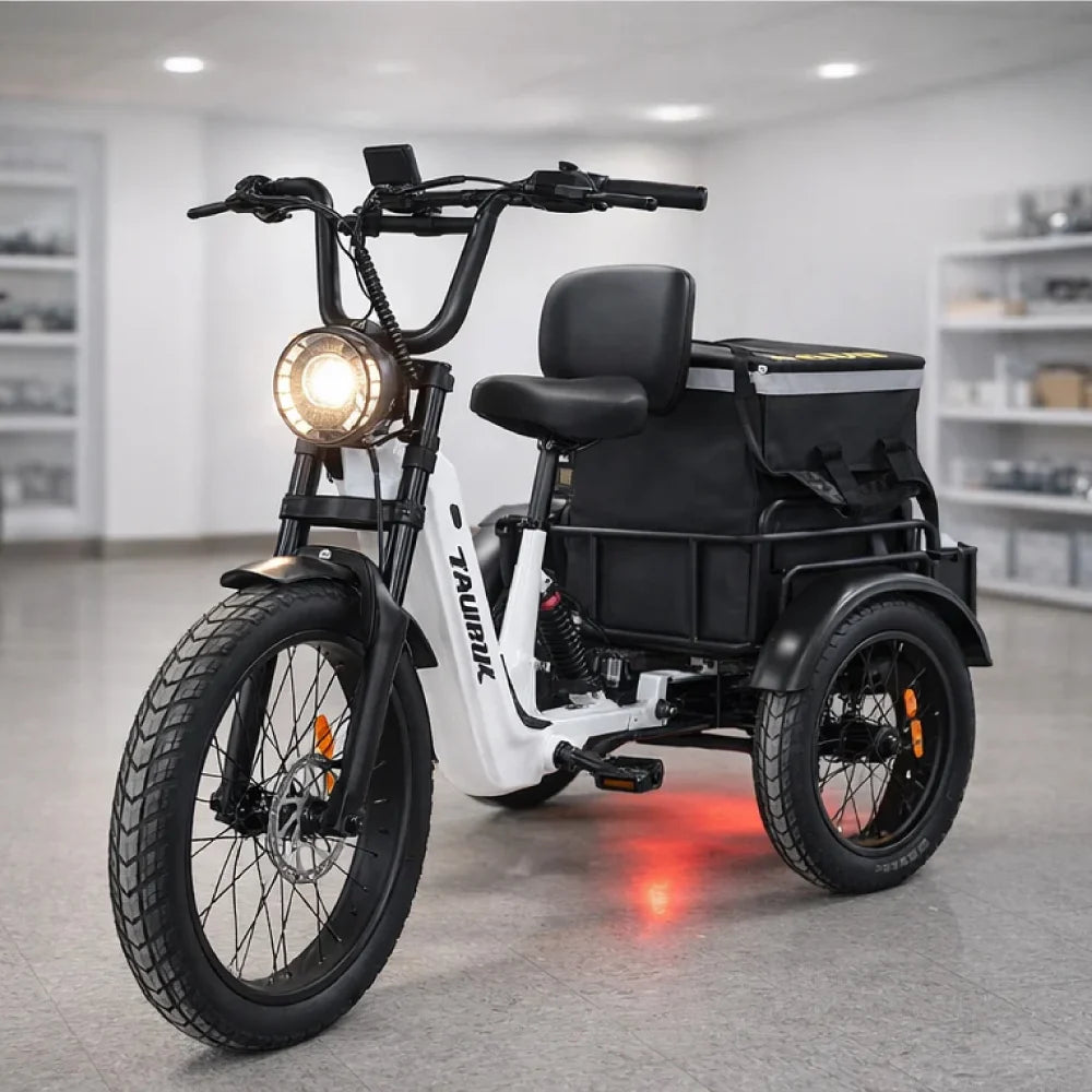Taubik Axis E-Tricycle Trike