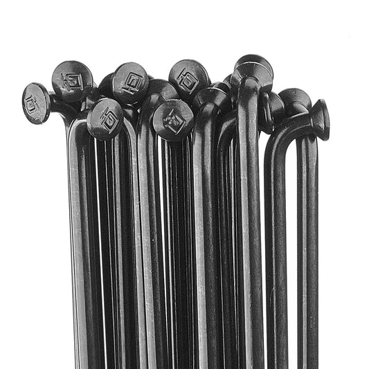 DT Swiss Champion Spokes 259mm Blk (100)