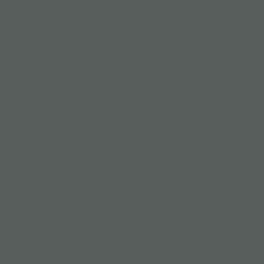 OnPoint Polycarbonate Paint (Grey) 150ml